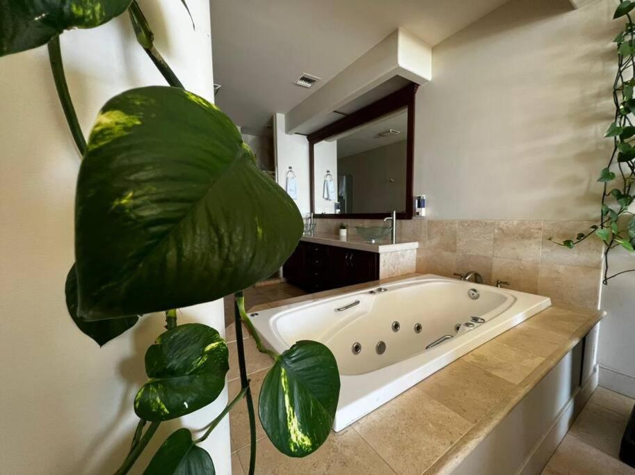 Access - Beach Penthouse Papas And Beer 2 Miles Wifi Rosarito Buitenkant foto