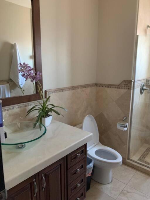 Access - Beach Penthouse Papas And Beer 2 Miles Wifi Rosarito Buitenkant foto